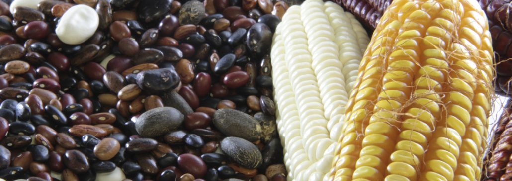 COZINHA FRESTAS: Deriva culinária [guarani]  Dia 7/10, às 15h